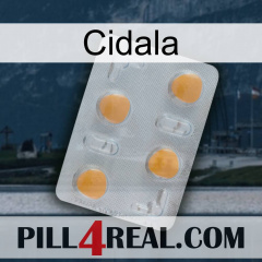 Cidala 24